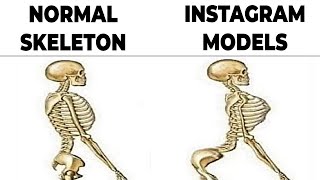 Datos Memes That Teach Me Anatomy Actualización