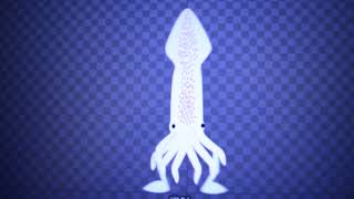 Spine Animation Test