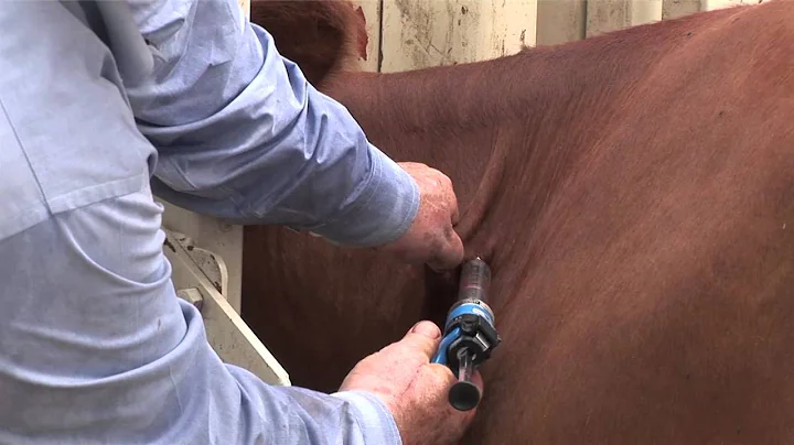 Ron Gill - BQA - Best Management Practices (BMPs)