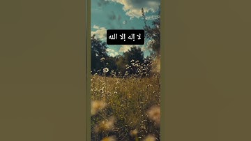 القرآن الكريم/تلاوة خاشعة/ ترتيل #القرآن_الكريم #المصحف #راحة_نفسية