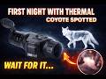 First Night With Thermal....Coyote Spotted....Wait for it.....