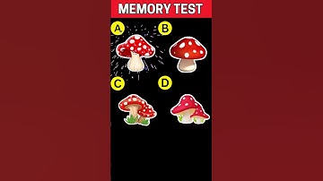 Test Your Memory Power  Guess The Correct One ! | #shorts #riddles [ Memory Test Puzzles ]