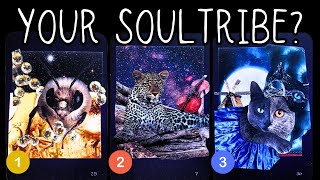 Who Are Your Soultribe? (How & Why Will They Enter Your life?)🌱🌍⭐️PICK A CARD 🃏Timeless Reading screenshot 5
