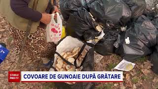 Munți de gunoaie lăsate în urmă de oamenii care au petrecut 1 Mai la picnic: „Așa-i românul nostru”