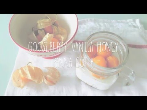 gooseberry-vanilla-honey-panna-cotta-by-taraenjoy-:)