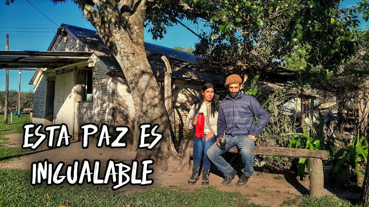 ¡Es INCOMPARABLE! | Vivimos con PUERTAS y VENTANAS ABIERTAS y estamos en completa PAZ | Argentina