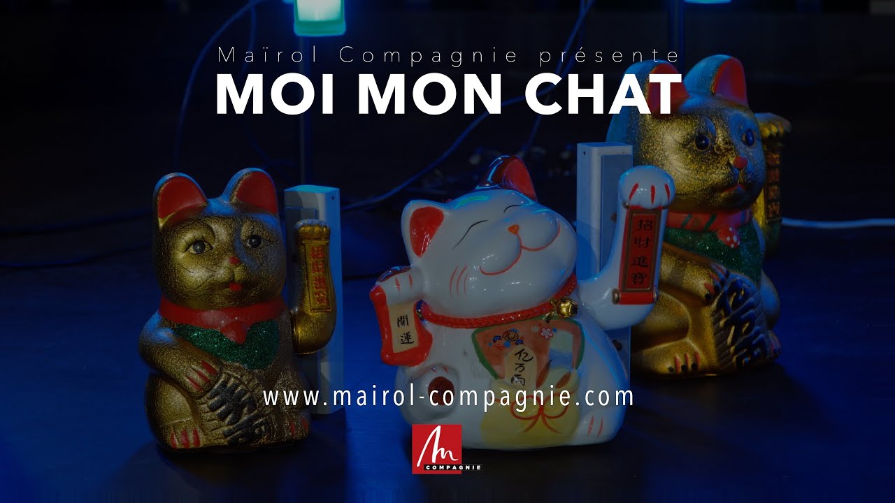 [teaser] MOI MON CHAT - Maïrol compagnie