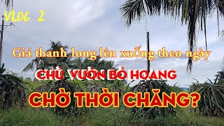 Vlog , Giá Thanh Long Lên Xuống, Nhà Nông Bỏ Hoang Vườn, Chờ Thời Chăngnvm Vlogs