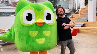 The story of DUOLINGO: The app that is taking the world by storm 🦉