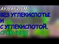 БЕЗ СО2 И С СО2. АКВАРИУМ С РАСТЕНИЯМИ. СРАВНИЩЕ