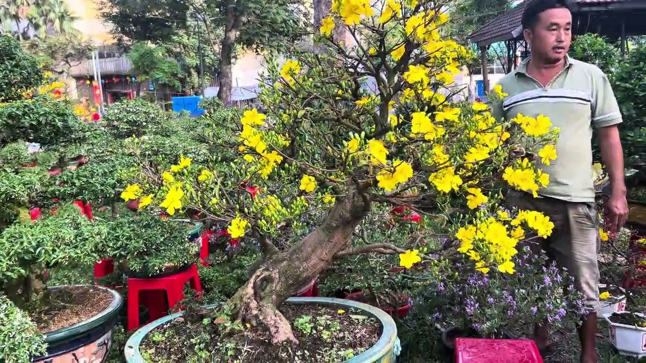 29 tết tại công viên 23 tháng 9#backstage #video 