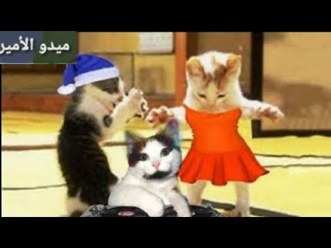 اغنية ملكية والله صوتك مزيكا ميدو الأمير اجمل اغنية علي اسم مليكة