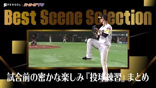 試合前の密かな楽しみ『プロの凄さが凝縮された投球練習』まとめ《Best Scene Selection》