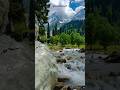 Nature😍🏞️ #shorts #viral #trending #shortvideo #youtubeshorts #nature #youtube