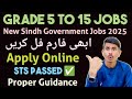 STS 5-15 Jobs | New Jobs on Sindh Jobs Porta| Sindh Jobs| Jobs Alert| Jobs 