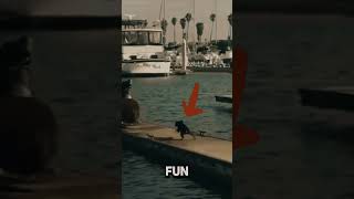 You wont believe what this dog did #explore #foryou #funny #yourpet  #funnycats #informative  #cute