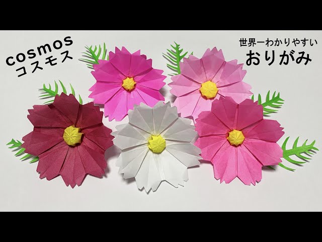 【折り紙】コスモス・葉っぱ🍃How to make Cosmos#cosmos#코스모스#波斯菊#格桑花#花#はな#flower#फूल#flor#簡単#折り方#おりがみ#origami#紙#종이접기 class=