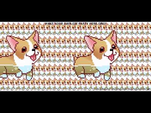 The Corgi Song (Music) - YouTube