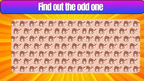 can you find the odd one out 😱||extreme