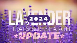 Missouri Lavender Research Recap: What We've Learned by MU Extension Integrated Pest Management 309 views 3 months ago 7 minutes, 11 seconds