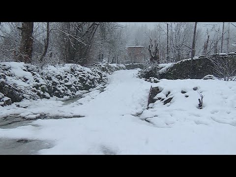 უხვი ნალექისგან შექმნილი პრობლემები - აჭარის მაღალმთიანეთში ინტენსიურად თოვს