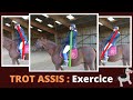 Amliorer son trot assis  astuce