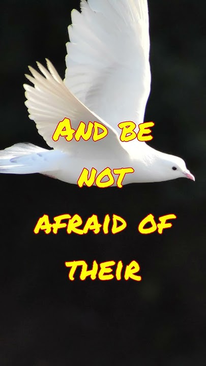 1-peter-3-14-15-but-and-if-ye-suffer-for-righteousness-sake-happy-are