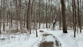 Charleston Falls Preserve (winter weather land)