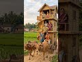 भारत का सबसे अनोखा घर 🇮🇳 #shorts #home #ghar #family #gadi #gaon #village village #desi #farming