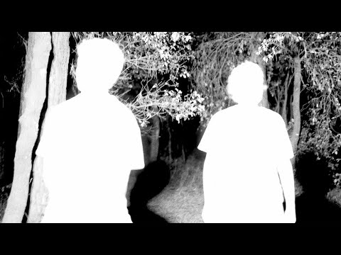 GINESTÀ - De