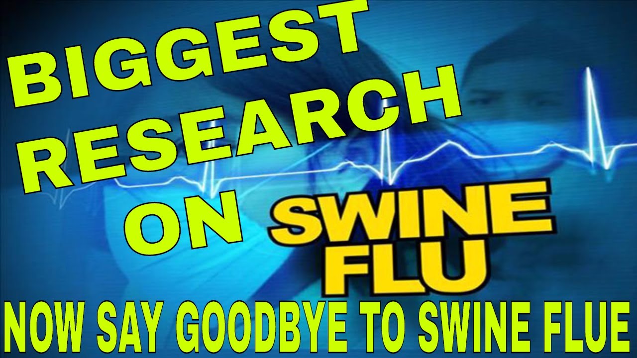 newspaper स्वाइन फ्लू पर एक बड़ी खोज I Biggest research on swine flue...