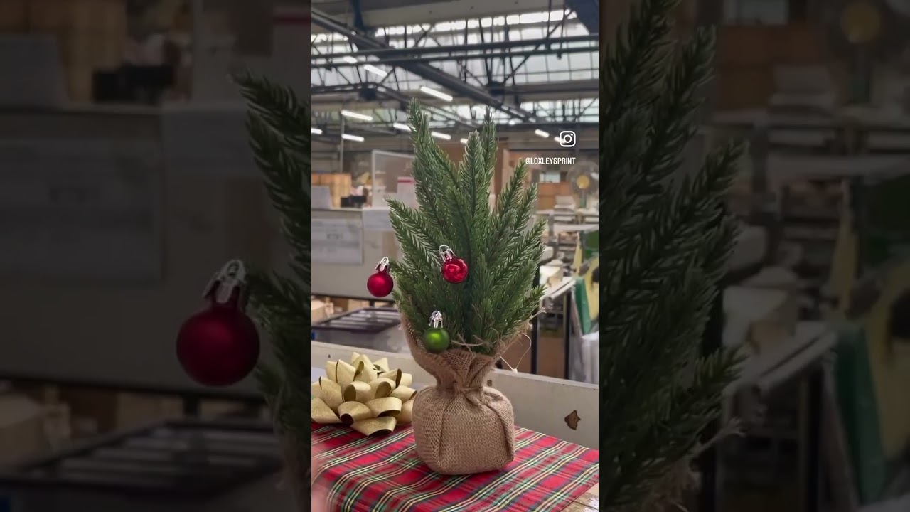 Loxleys - Christmas in June