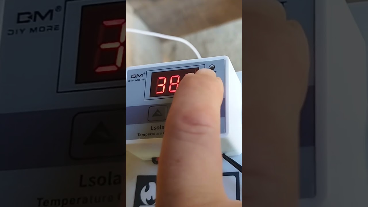 controlador de temperatura dm-w3001 para incubadoras artesanales