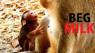 SMART ACT TITAN ..!! Listen soft speak Titan talk beg milk| Titan sad face beg milk till success screenshot 1