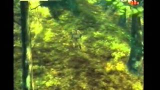 Metal Gear Solid 3: Snake Eater (PS2) (EU Extreme) (FoxHound) Speed Run - Single Segment