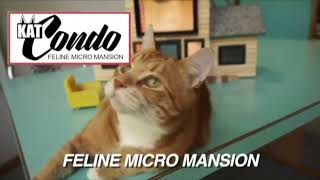 Keyboard Cat Kondo by Keyboard Cat! 8,131 views 6 months ago 38 seconds