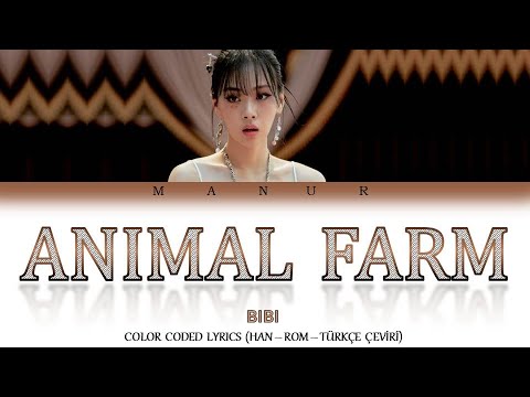 Bibi (비비) - Animal Farm (Han- Rom- TÜRKÇE ÇEVİRİ) Color Coded Lyrics ...