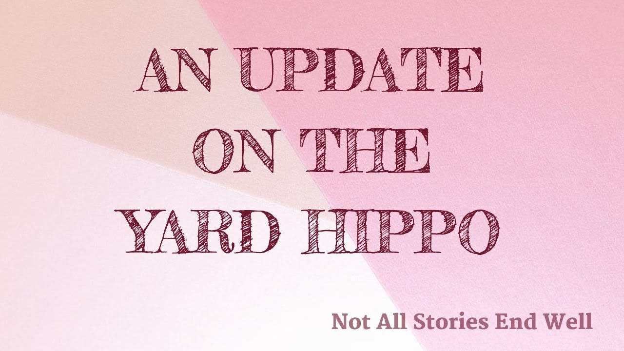An Update on the State of the Yard Hippo (Rescued Pitbull)