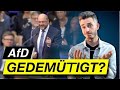 Bundestag nimmt AfD auseinander