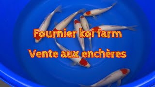 Fournier vente aux enchères by Aquatechnobel 474 views 9 months ago 2 minutes, 47 seconds