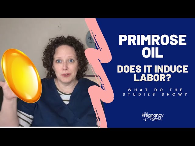 🌸 Evening Primrose Oil & Pregnancy: What You Need ...