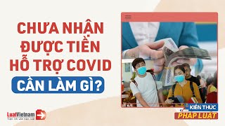 5 Lưu Ý Khi Chưa Nhận Được Tiền Hỗ Trợ Covid-19 | LuatVietnam