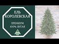 Triumph Tree - ОБЗОР искусственной ели Королевская премиум 100% литая.