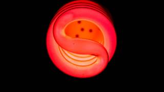 pressure Feat  Major Lazer Hd