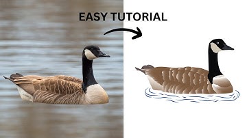 How to Create a  Bird Vector  in adobe illustrator - Adobe Illustrator Tutorial