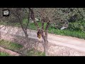 WARNING This Drone Prank Could Go Horribly Wrong!
