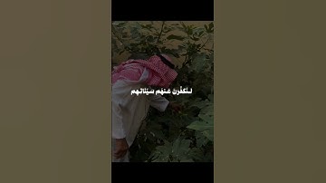 وَالَّذِينَ آمَنُوا وَعَمِلُوا الصَّالِحَاتِ سوره العنكبوت{7}القارئ: علي جابر 🌷.