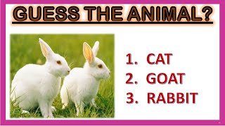 ANIMALS NAME| guess the animals name| animals name for kids| domestic and wild animals name