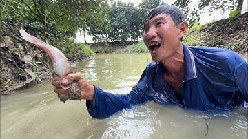 Bắt Cá Trốn Trong Hang - TT2294