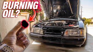 If your Foxbody burns oil... This is probably why. SUPER CHEAP FIX FOR YOUR FOX.